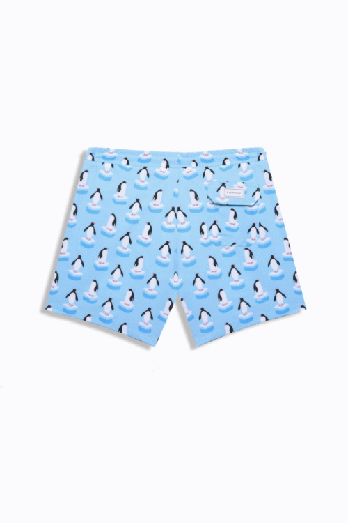 SKY BLUE PENGUIN