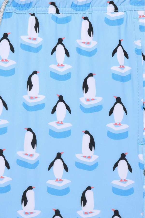 SKY BLUE PENGUIN - Image 4