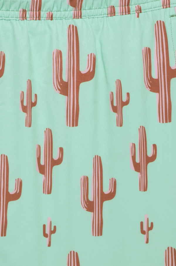 GREEN CACTUS - Image 4