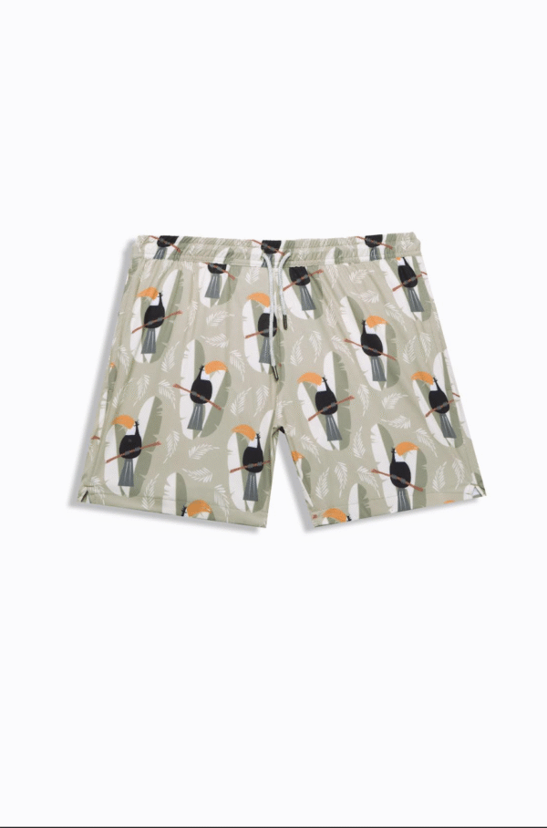 KHAJI TOUCAN - Image 2