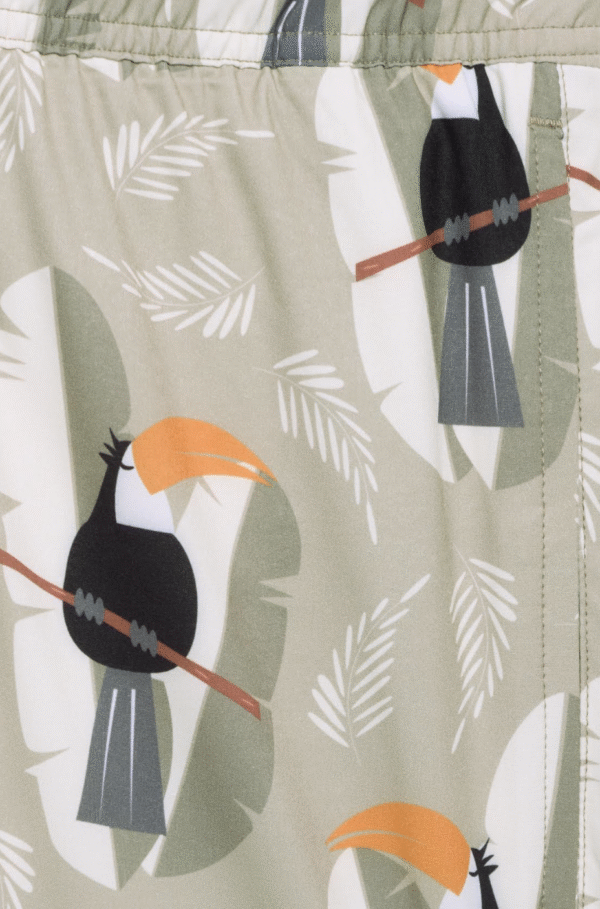 KHAJI TOUCAN - Image 3